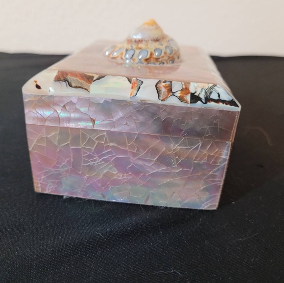 Turbo Tiger Shell Vintage Penshell Box - Picture 2 of 11